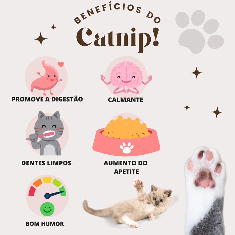 Brinquedo Para Gatos - Bola de Ervas