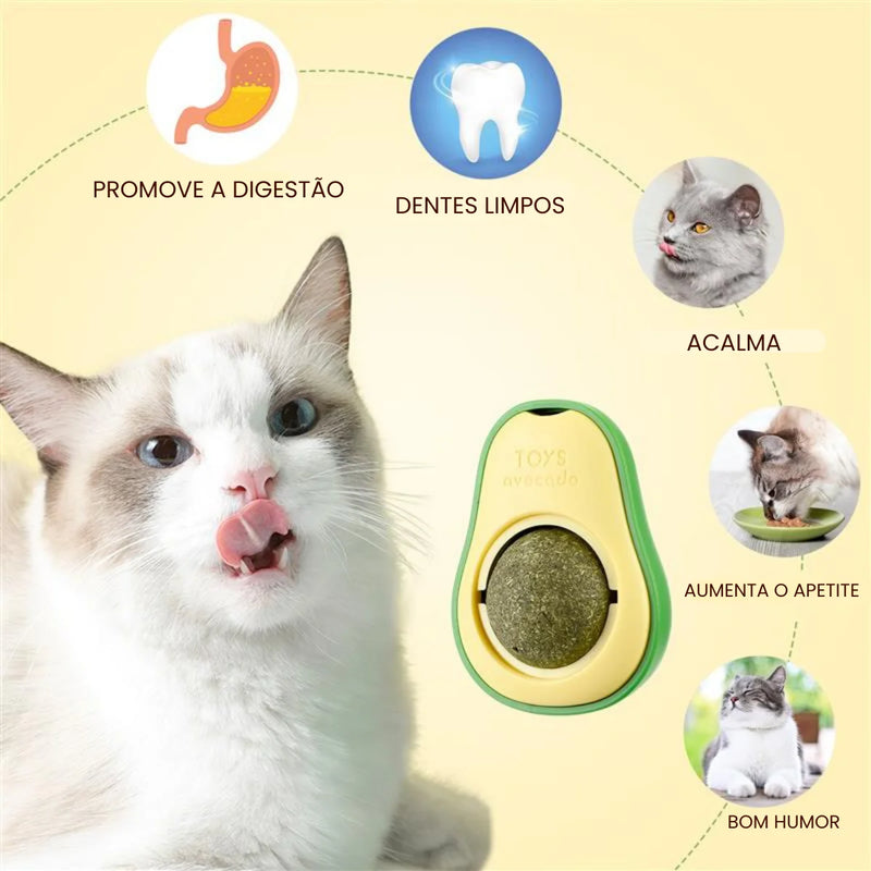 Binquedo de Abacate de Ervas Para Gatos