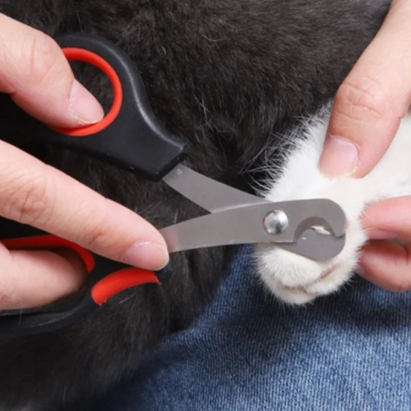 Cortador de Unhas Para Pets